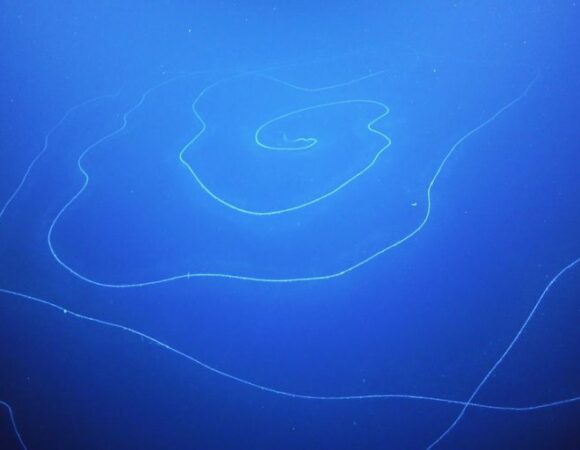 Blue, Underwater, white spiral