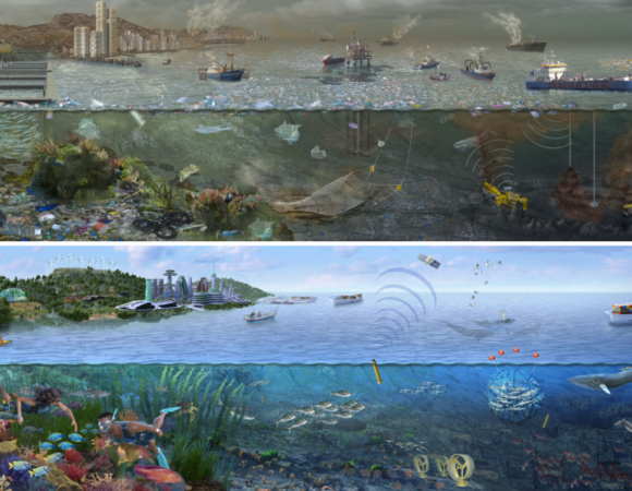 Two visions of the ocean's future
