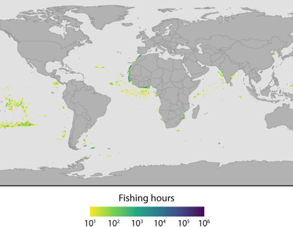 Density distribution of global industrial fishing effort