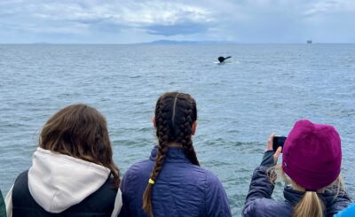 Program mentees watch a whale from the deck of a boat