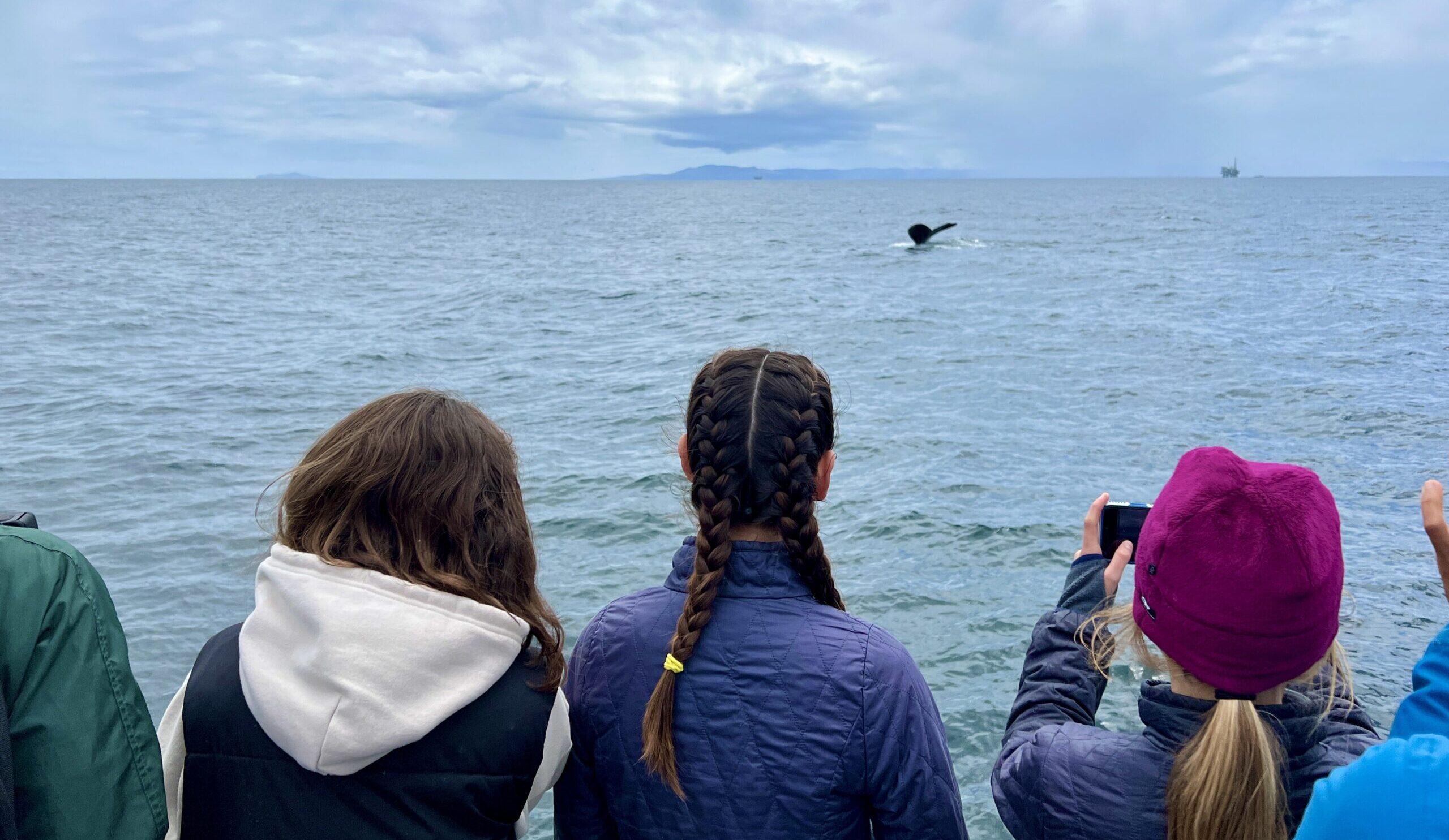 Program mentees watch a whale from the deck of a boat
